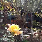 Hotell Route 66 Olympos
