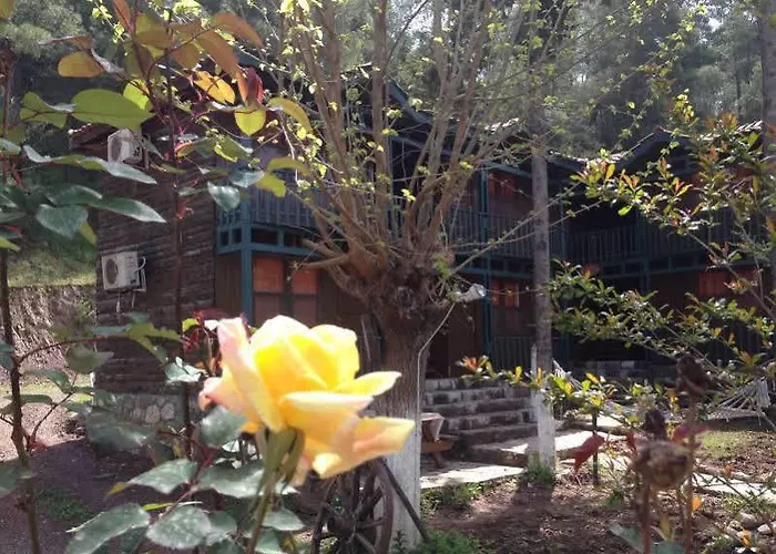 Hotel Route 66 Olympos