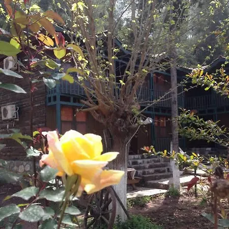 Hotel Route 66 Olympos